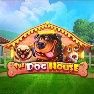 Dog House